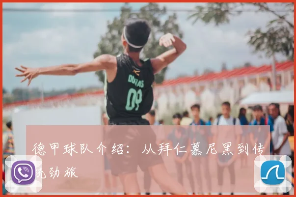 德甲球队介绍:从拜仁慕尼黑到传统劲旅