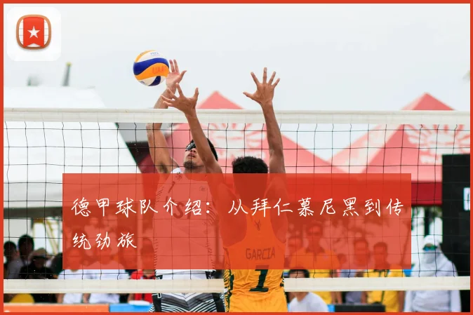德甲球队介绍：从拜仁慕尼黑到传统劲旅